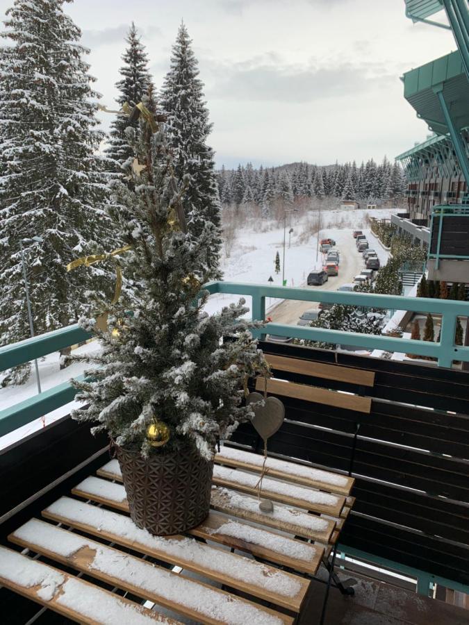 Luxury Silver Mountain Apartment Пояна-Брашов Екстер'єр фото